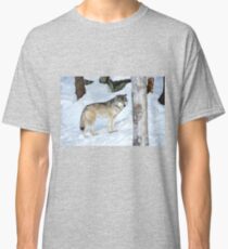 I'm eyeing a possible lunch_Timber Wolf Classic T-Shirt