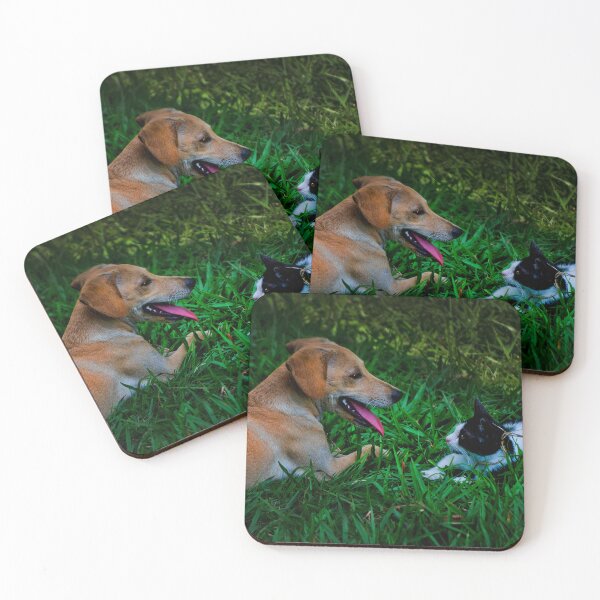 Item preview, We Can Coexist designed and sold by alabca.