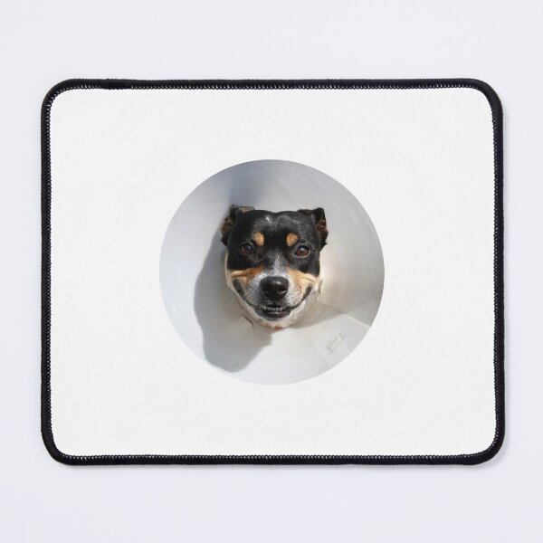 Item preview, Smiling dog wearing a cone designed and sold by steveball.