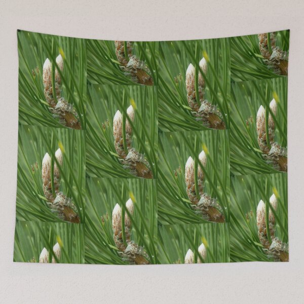 Item preview, Kyoto cones designed and sold by Jan Stead JEMproductions.