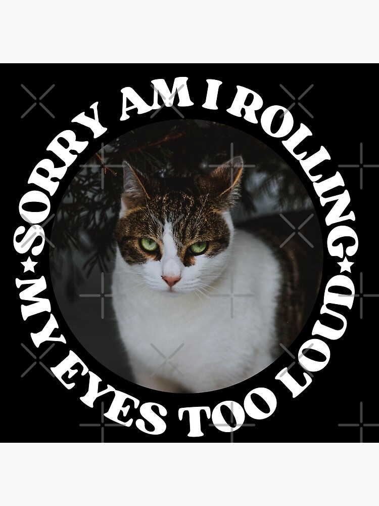 "SORRY AM I ROLLING MY EYES TOO LOUD Funny Cat Pictures With Cat