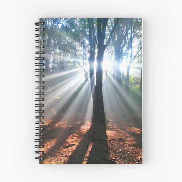 Item preview, Sunrays designed and sold by Lindie Allen.