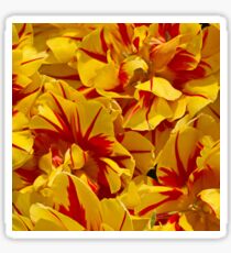 Red striped Yellow Tulip Sticker