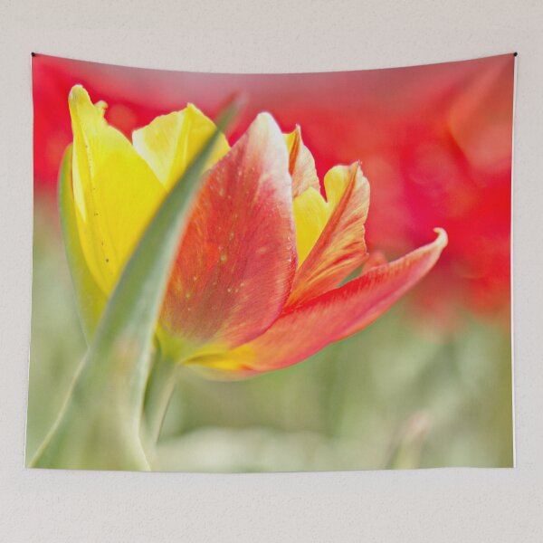 Item preview, Two colour Tulip designed and sold by Lindie Allen.