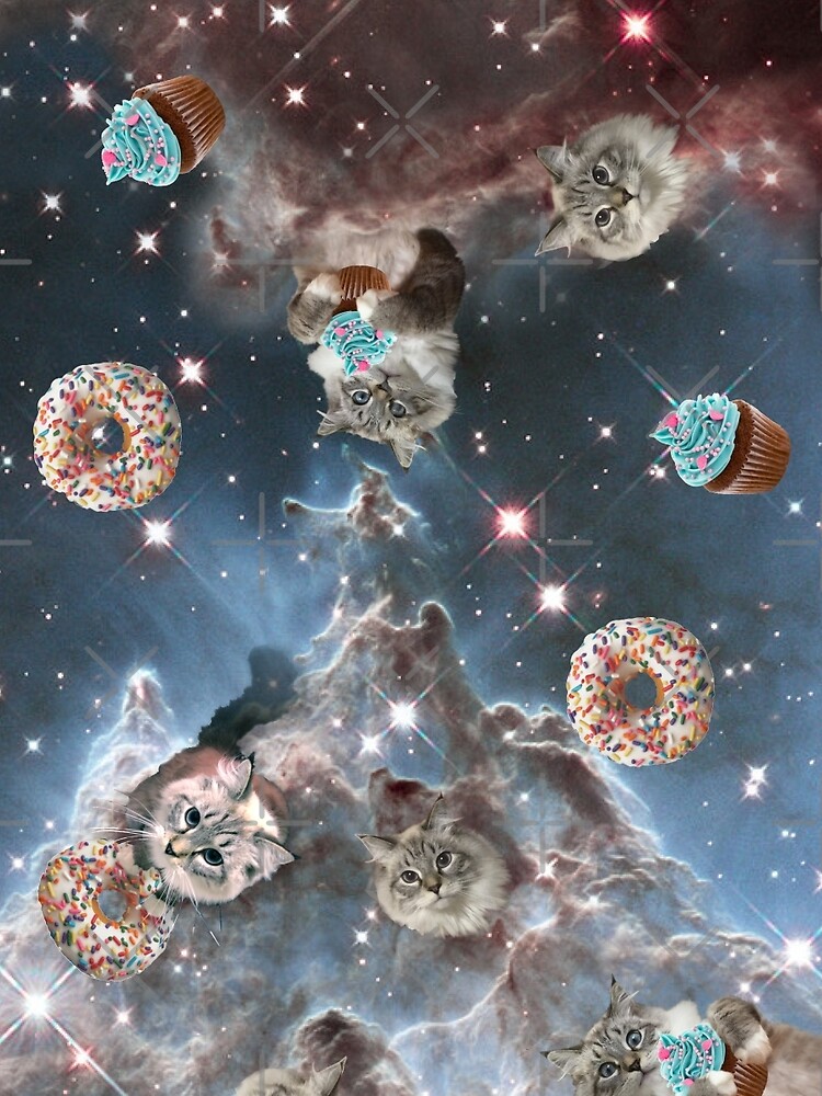 Cupcake Donut Space Cat by heARTcart