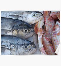 Pesce Poster