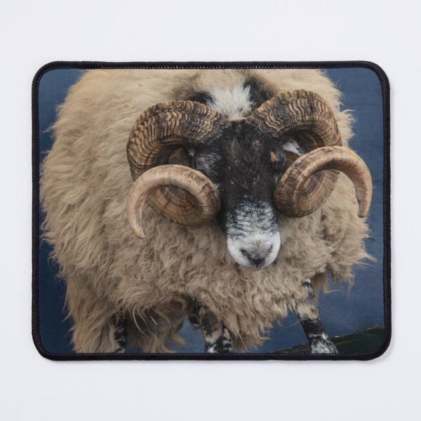 Item preview, Dougal the Dancing Sheep designed and sold by hawkie.