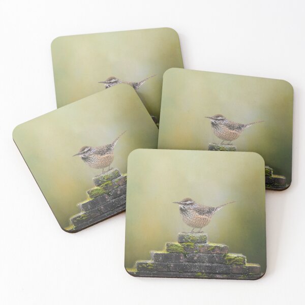 Item preview, Cactus Wren on Wall designed and sold by Elisabeth Lucas.