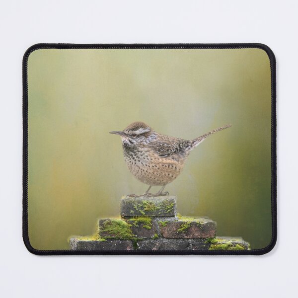 Item preview, Cactus Wren on Wall designed and sold by Elisabeth Lucas.