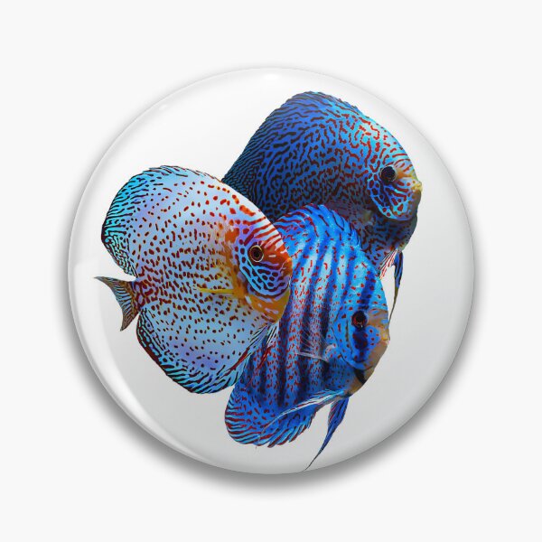 Item preview, Discus Fish designed and sold by GFishy.