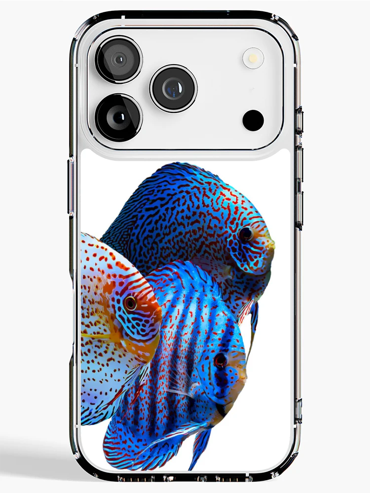 Thumbnail 1 of 5, iPhone Case, Discus Fish designed and sold by GFishy.