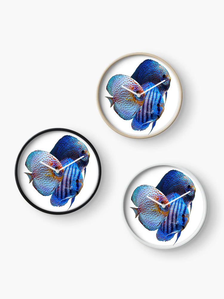Thumbnail 3 of 4, Clock, Discus Fish designed and sold by GFishy.