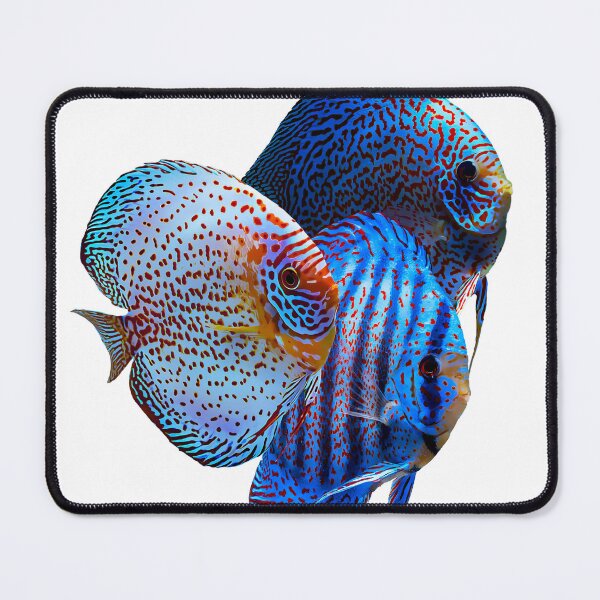 Item preview, Discus Fish designed and sold by GFishy.