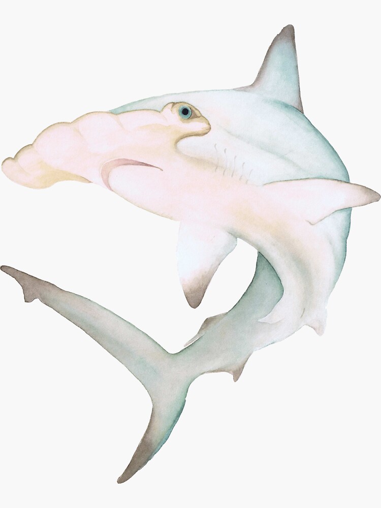 Thumbnail 3 of 3, Sticker, Pastel Watercolor Hammerhead Shark designed and sold by thecuriouswild.
