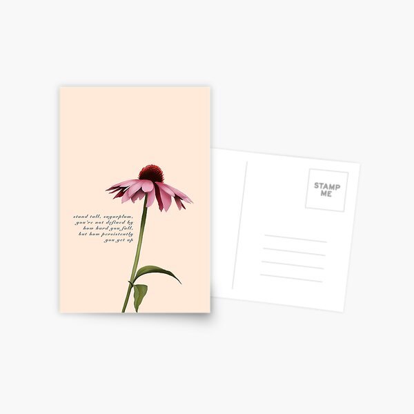 Stand tall, sugarplum Postcard