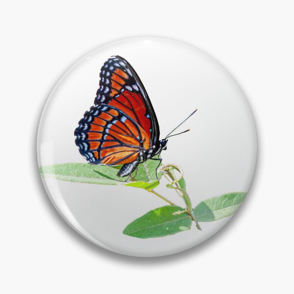 Item preview, Viceroy Butterfly designed and sold by Dalyndigital Photography.