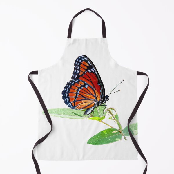 Item preview, Viceroy Butterfly designed and sold by Dalyndigital Photography.