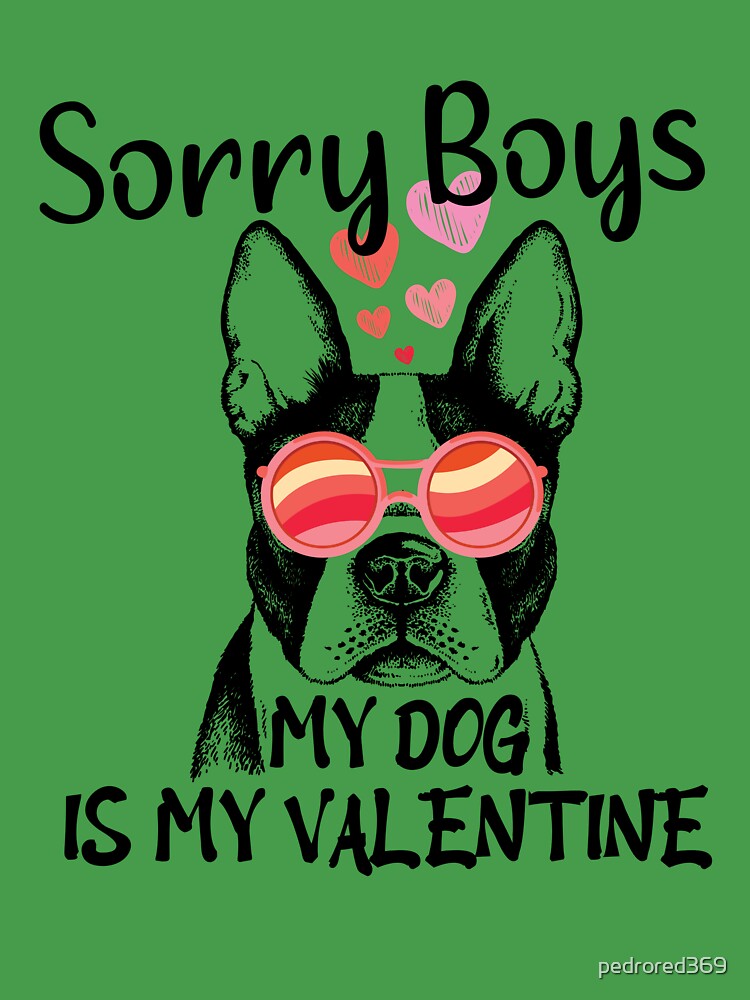 Ils vont passer la Saint-Valentin en tête-à-tête avec leur chien: Un  animal, lui, ne vous déçoit jamais - La DH/Les Sports+