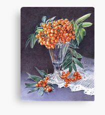 Mountain Ash Canvas Print