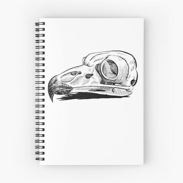 Item preview, Owl Skull designed and sold by kaylash.