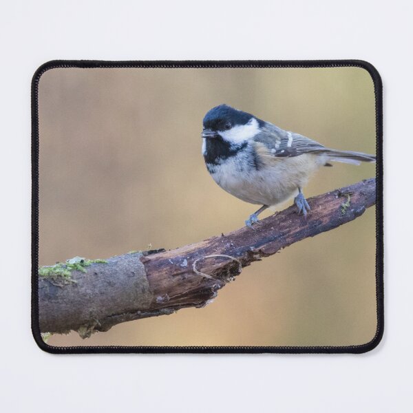Item preview, Coal Tit designed and sold by LaurenTucker.