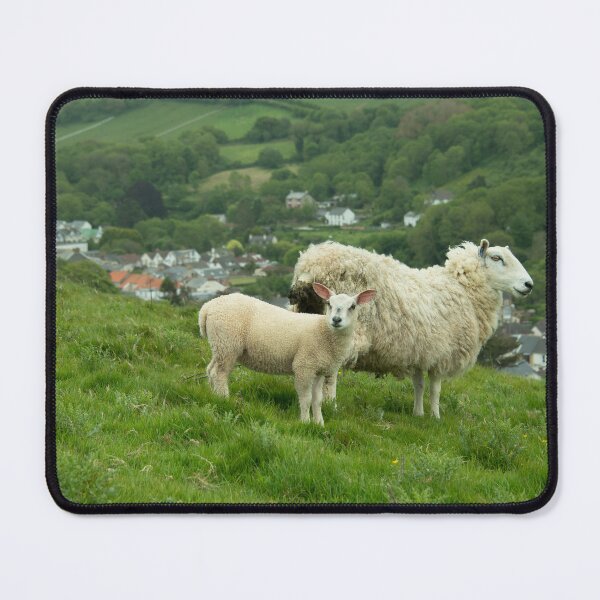 Item preview, Coombe Martin Sheep  designed and sold by hawkie.