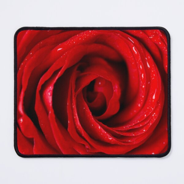Item preview, Beautiful Bright Red Rose with Dew On Petals, Valentines Day, Valentines Day for Teachers, StayFlyDesign designed and sold by HeatherAP.