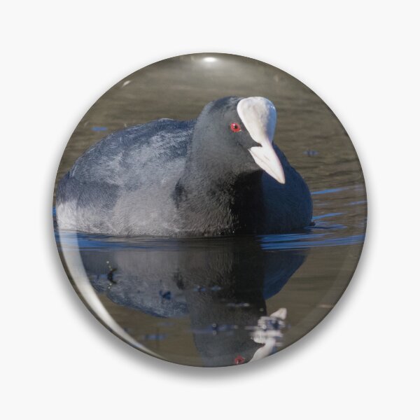 Item preview, Coot designed and sold by LaurenTucker.