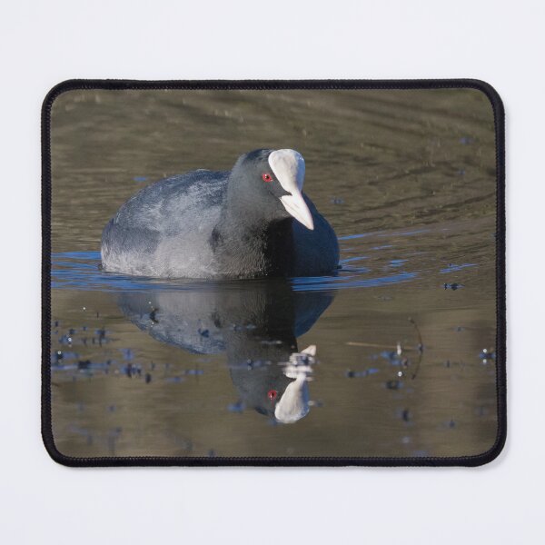 Item preview, Coot designed and sold by LaurenTucker.