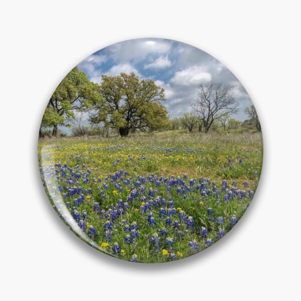 Item preview, Campo de bluebonnets designed and sold by Chris Atwell.