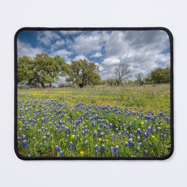 Item preview, Field of Bluebonnets designed and sold by Chris Atwell.