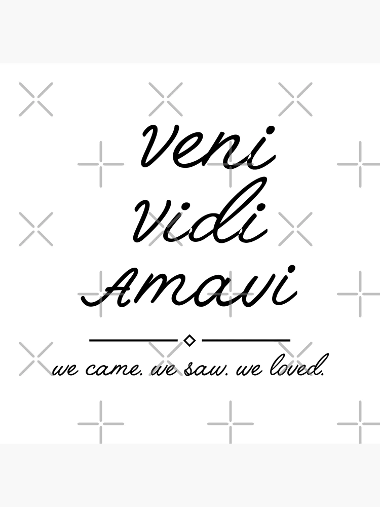 Veni. Vidi. Amavi. We Came. We Saw. We Loved. Hand-lettered 