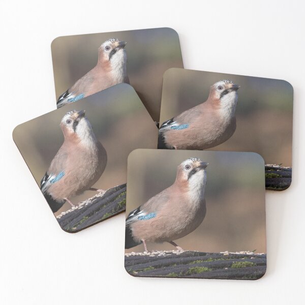 Item preview, Jay designed and sold by LaurenTucker.