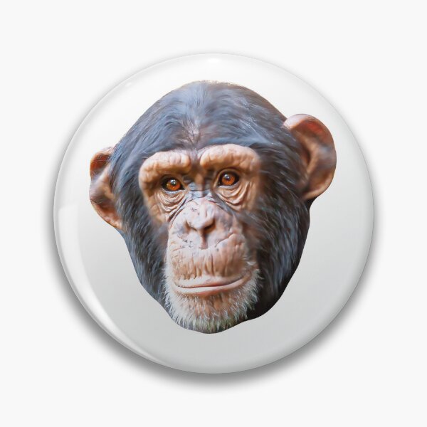 Item preview, Just relaxing Chimp designed and sold by Dalyndigital Photography.