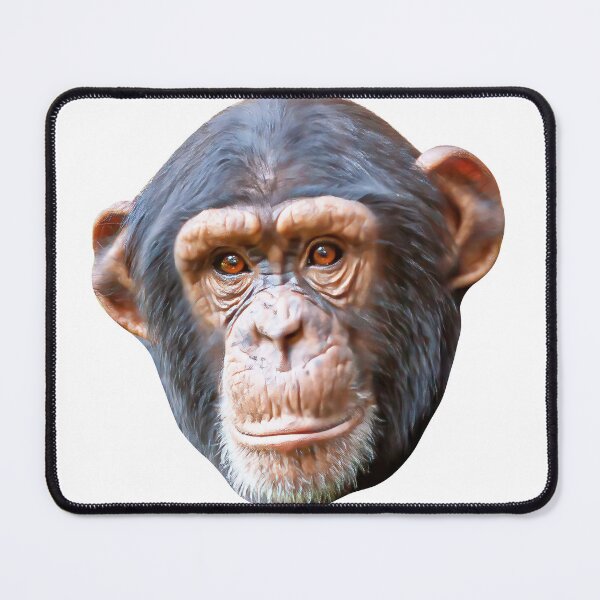 Item preview, Just relaxing Chimp designed and sold by Dalyndigital Photography.