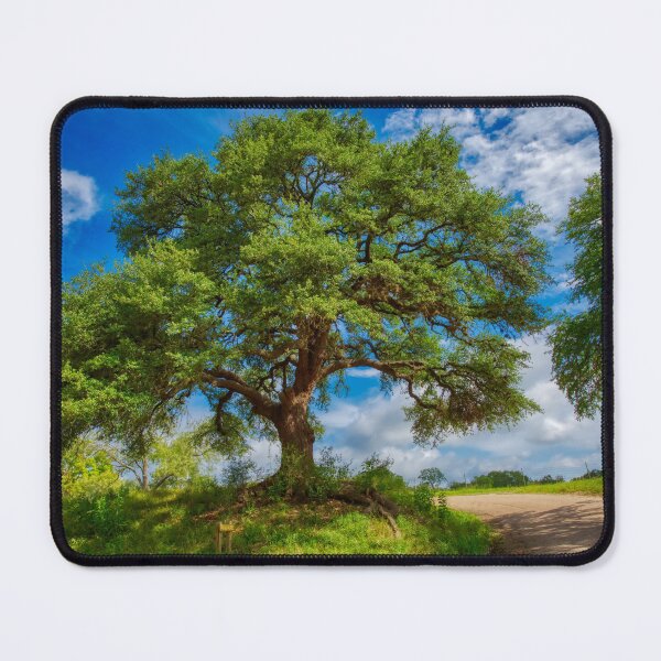 Item preview, Country road #2 designed and sold by Chris Atwell.