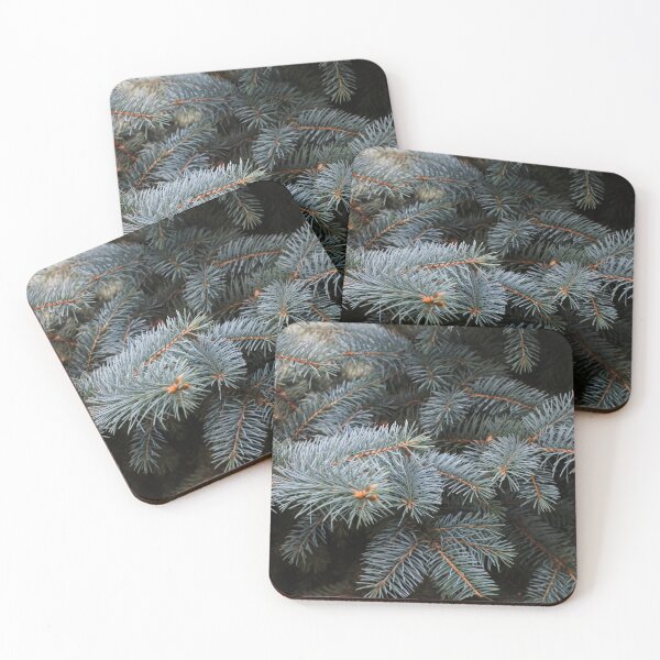 Item preview, Spruce tree close-up designed and sold by mithril-mellon.