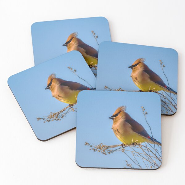 Item preview, Cedar Waxwing resting on a limb designed and sold by Chris Atwell.
