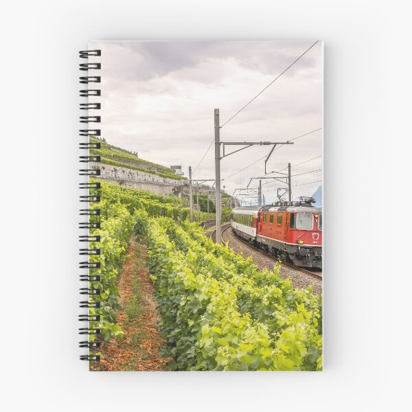 Artikelvorschau, Re 4/4 im Lavaux entworfen und verkauft von SwissOnTracks.