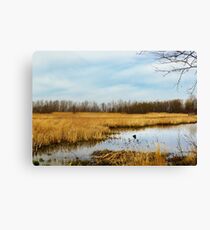 Sheldon Marsh - Marshland In Spring Canvas Print