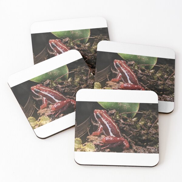 Item preview, Red Frog Photograph designed and sold by shadowspeeder.