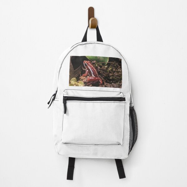 Item preview, Red Frog Photograph designed and sold by shadowspeeder.