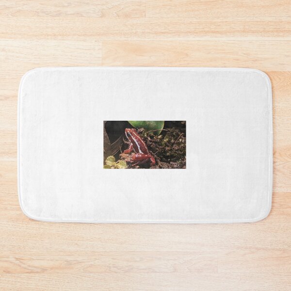 Item preview, Red Frog Photograph designed and sold by shadowspeeder.