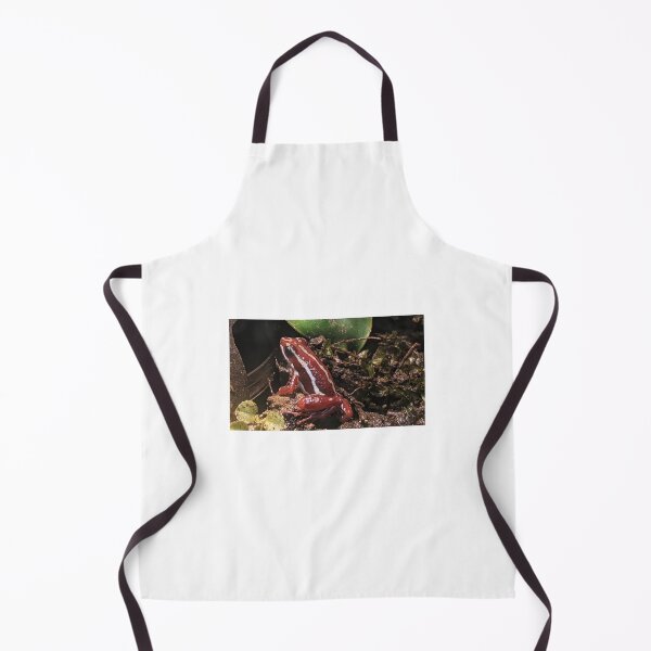 Item preview, Red Frog Photograph designed and sold by shadowspeeder.