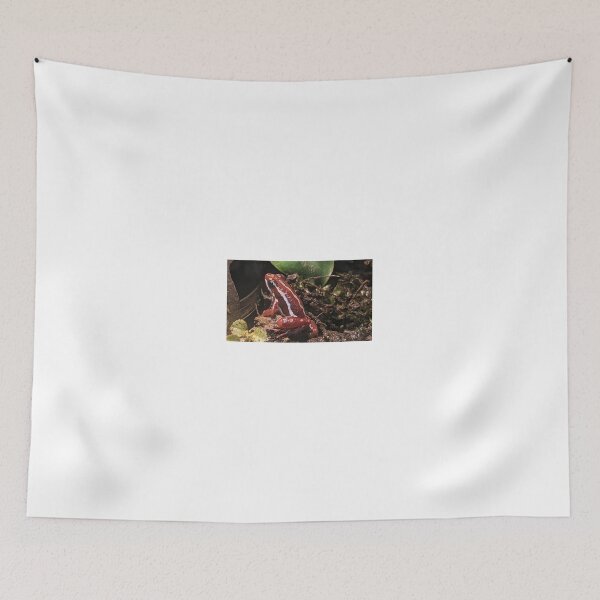 Item preview, Red Frog Photograph designed and sold by shadowspeeder.