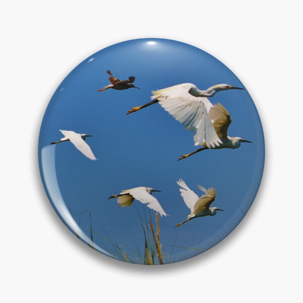 Item preview, Fly Away - Coastal Wildlife designed and sold by BeachBumPics.