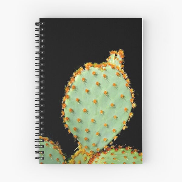 Item preview, Cactus designed and sold by Geoffrey Higges.