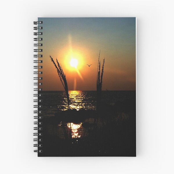 Item preview, Florida Sunset designed and sold by onestopgiftshop.