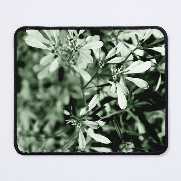 Item preview, Minimalistic Plant III designed and sold by ABGdesigns.