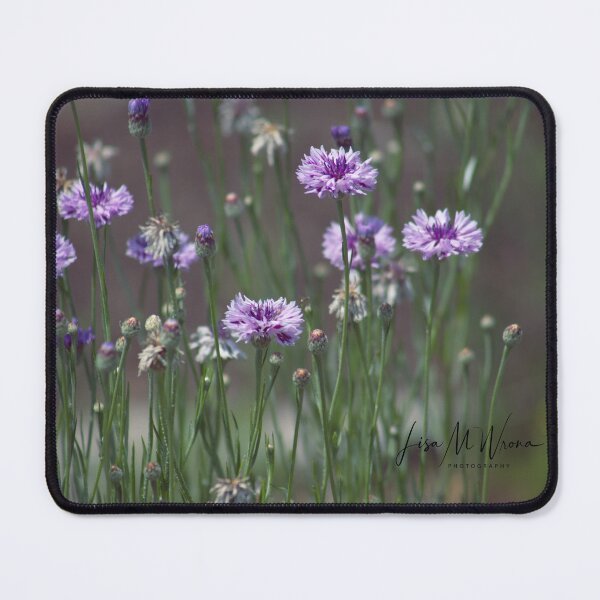 Item preview, "Purple Field" designed and sold by Lisa Wrona.
